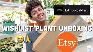 Thumbnail: Unboxing My Dream Plant + A Full Day of Pest Patrol & Propagating 🌱LATropicaMart on Etsy! 