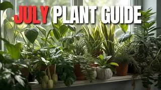 Thumbnail: Top 10 Houseplant Care Tips for July ☀️ | Keep Your Plants Thriving This SummerPlant Guide