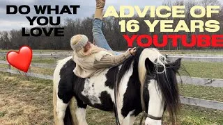 Thumbnail: What I learned on YouTube after 16 years. Have Fun with my horses Money will follow @theponyshow