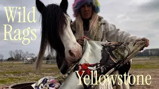 Thumbnail: Yellowstone Wild Rags by Schaefer Unboxing with my horse @theponyshow 