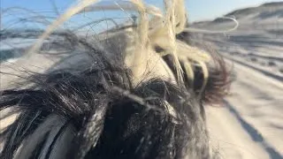 Thumbnail: Ocean Sounds Sleep Meditation 2 hours  Riding Horses on the Beach @theponyshow
