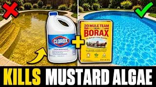 Thumbnail: The "Forbidden" 2-Ingredient Mix That KILLS Yellow Pool Algae for Good