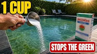 Thumbnail: The "Secret" 1-Cup Trick That Kills Pool Algae Before It Turns Green