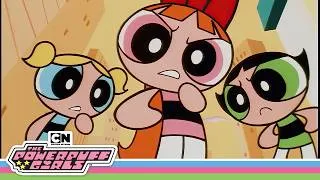 Thumbnail: Our Favorite Season One Moments | Powerpuff Girls | Cartoon Network