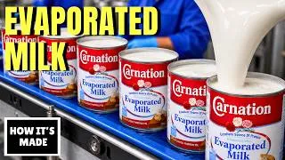 Thumbnail: How Evaporated Milk Is Made — Why Half the Milk Disappears