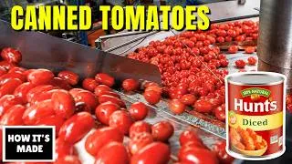 Thumbnail: How Canned Tomatoes Are Made - Why They’re Better Than Fresh