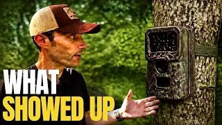 Thumbnail: I Can’t Believe What My Trail Cam Caught!