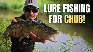 Thumbnail: Targeting Elusive Chub with Lure Fishing!