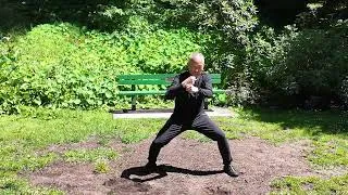 Thumbnail: Henry Wong Performs Gene Chen’s Rare Chen Family Taijiquan Yi Lu