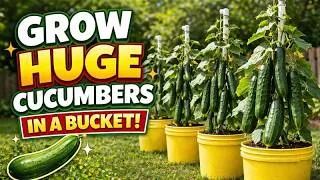 Thumbnail: Do This To GROW a Lot of FOOD in Small Spaces #garden #gardening