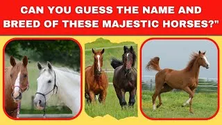 Thumbnail: Unleash Your Inner Equestrian: Can You Guess the Name and Breed of These Majestic Horses?