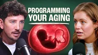 Thumbnail: How Early Nutrient Status Set Your Slopes For Disease & Aging | Dr Federica Amati | EP#427