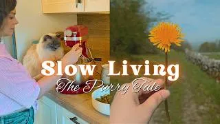 Thumbnail: A Quiet Day in the English Countryside 🌿 Village Walk, Rhubarb Cake & a Garden Cat