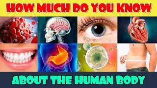 Thumbnail: How Much Do You Know About the Human Body?