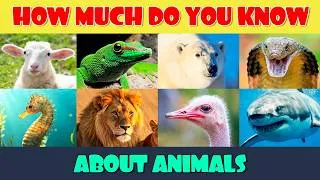 Thumbnail: How Much Do You Know About Animals?