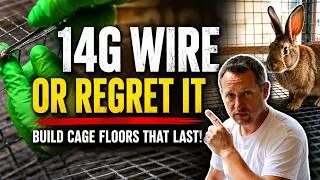 Thumbnail: Building Rabbit Cages? Don’t Make This Mistake With the Floor
