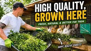 Thumbnail: I Grow My Own Rabbit Food | One Morning at The Rabbitry Center