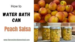 Thumbnail: Water Bath Canning Peach Salsa, full tutorial