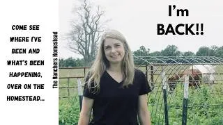 Thumbnail: Update On The Homestead!