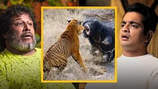 Thumbnail: The Deadliest Finishing Move of a TIGER