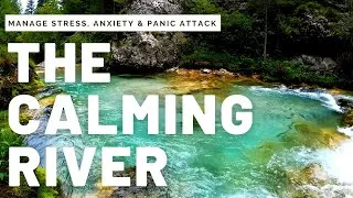 Thumbnail: The Calming River Relaxing Video to Manage Anxiety, Stress, Panic Attack, Depression