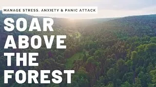 Thumbnail: Relaxing Mountain Drone Video For Anxiety, Stress, Panic Attack, Depression | 3 hours Sleep Music