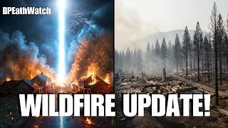 Thumbnail: Houses Are Burning /Trees are Not!