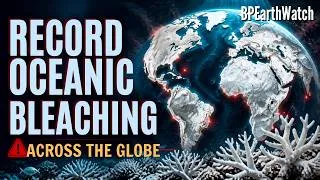 Thumbnail: The Planets Oceans Are Rapidly Dying Now!