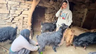 Thumbnail: Pure Village Morning: Milking Goats & Baking Traditional Bread 🐐🥖