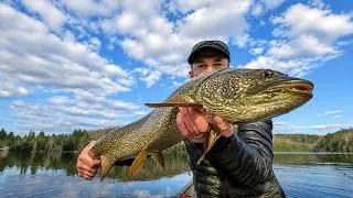 Thumbnail: Canoe Camping in a Blizzard with my Dog and Catching a Huge Lake Trout!