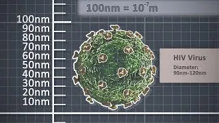 Thumbnail: The Metre - Metric unit of length - Scale comparison