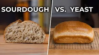 Thumbnail: Sourdough vs. “Normal” Bread. What’s the Difference?