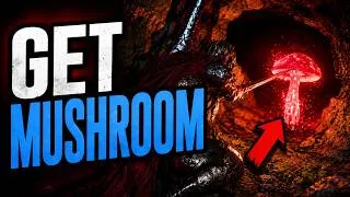 Thumbnail: How To Get MUSHROOM in Crimson Desert | Mystical Pine Mushroom Location