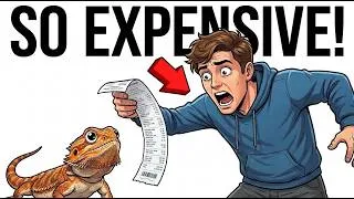 Thumbnail: The Real Cost of a Bearded Dragon (Nobody Tells You This)