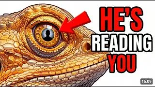 Thumbnail: Why Your Bearded Dragon Stares At You (It's Not Affection)