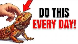 Thumbnail: Do This For 30 Seconds Before You Leave Your Bearded Dragon Alone