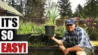 Thumbnail: 6 Benefits Of Container Gardening