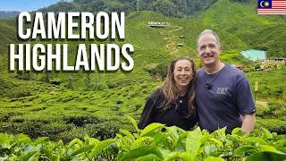 Thumbnail: Cameron Highlands Day Trip from Ipoh 🇲🇾 Tea, Durian & Blow Darts