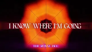 Thumbnail: The Royal Bee - I Know Where I'm Going (Official Lyric Video) 4K
