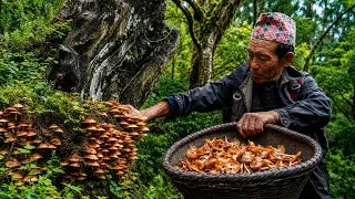 Thumbnail: Wild Mushroom Harvest & Stone Ground Corn | Nepal Village Life