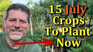 Thumbnail: 15 Vegetable Plants to Direct Sow/Seed in July (Mature Plant & Seeding Examples)