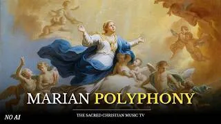 Thumbnail: Marian Polyphony for the Assumption | Sacred Motets to the Virgin Mary