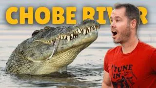 Thumbnail: This Monster Crocodile on the Chobe River Stole the Show! (4K) Part II