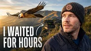 Thumbnail: I Visited The Drakensberg's Famous Bearded Vulture Hide