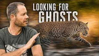 Thumbnail: Can I Actually Find a Leopard in The Hoedspruit Wildlife Estate?
