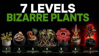 Thumbnail: The 7 Levels Of BIZARRE Plants: From Entry to Elite