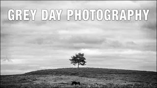 Thumbnail: Grey Day Photography
