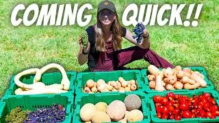 Thumbnail: Our Garden Started Falling Apart… Time to Save It!
