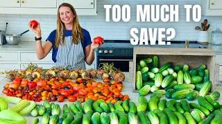 Thumbnail: What 5 Days Away Actually Did to Our Summer Garden