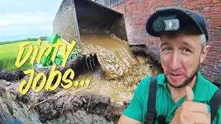 Thumbnail: Ewes to market and a big muck out job!